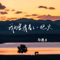 我的爱情着了一把火 - Single - 郑德多