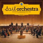 Tail Orchestra - Symphony No. 3: I. "Tennis ball” artwork