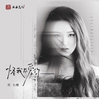 怪我太爱你 - Single - 花七樱