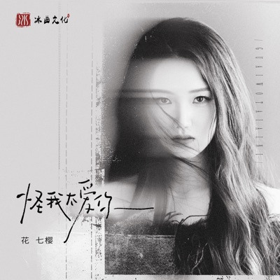 怪我太爱你 - Single