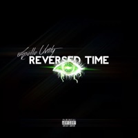 Reversed Time (feat. 37Flu) [Finale] - Single - Apollo Unity