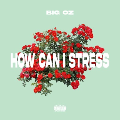 How Can I Stress - Single