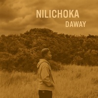 Nilichoka - Single - Daway