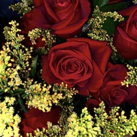 Mi último diciembre - Single - Javi Wonder