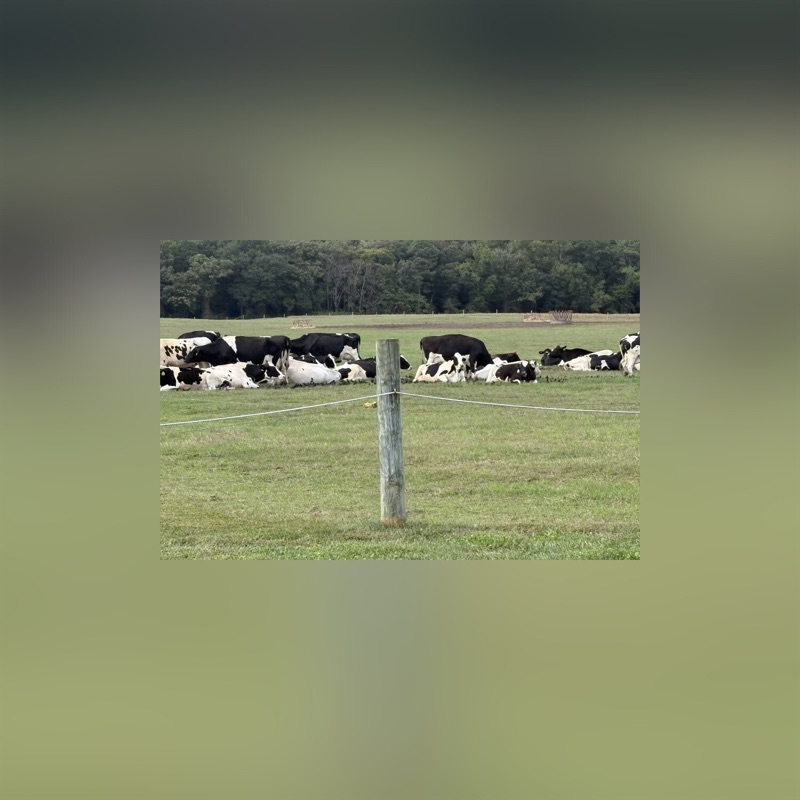 Delaware Dirt - Single