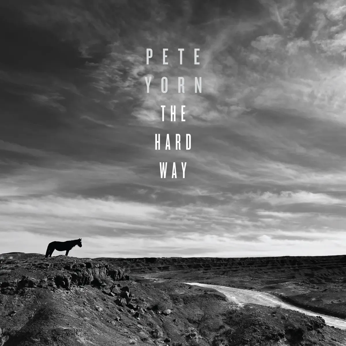 Pete Yorn - The Hard Way (2024) [iTunes Plus AAC M4A]-新房子
