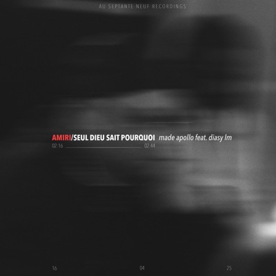 AMIRI (feat. Diasy LM) - Single