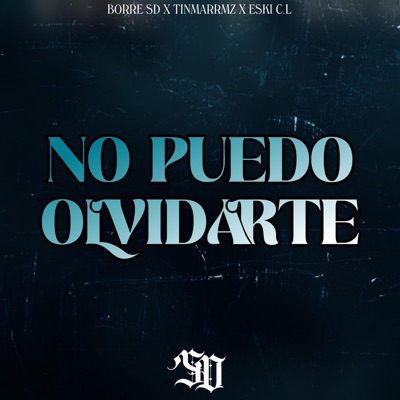 NO PUEDO OLVIDARTE (feat. ESKI C.L, BORRE SD & TINMARRMZ) - Single