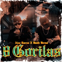 8 Gorilas - Single - Alex Torres & David Bernal
