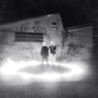 pushdug (feat. Millecoltelli) - Single - Murphy