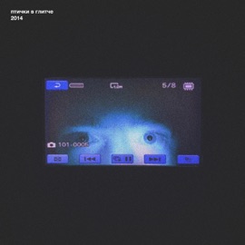 на развалинах птички в глитче