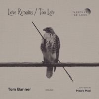 Love Remains / Too Late - Single - Tom Banner & Mauro Masi