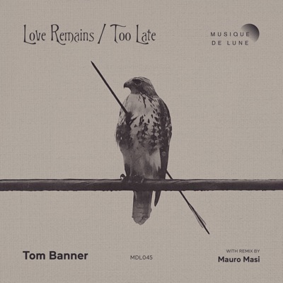 Love Remains / Too Late - Single