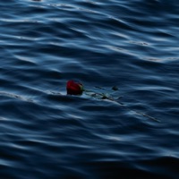 ESENCIA - Single - Arce SDL