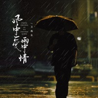 风中爱雨中情 - Single - 万海东
