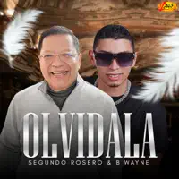 PENSARAS EN MI — SEGUNDO ROSERO