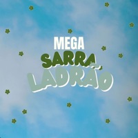 MEGA SARRA LADRÃO - Single - Mc GR8 & DJ Mendes