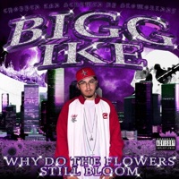 Why Do The Flowers Still Bloom (Chopped & Screwed) - EP - Bigg Ike