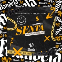Senta no Carro Bicho (feat. MC Pânico) - Single - DJ Ataliba & Mc Davi Cpr