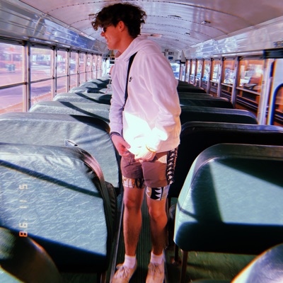 Assumptions - Single