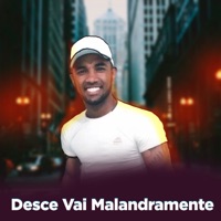Desce Vai Malandramente (feat. MC SS) - Single - Dj Nando Beatz