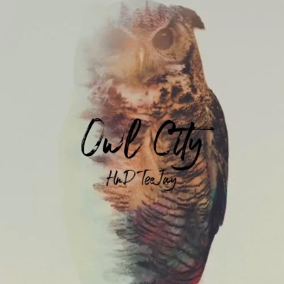 Owl City Part:B