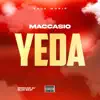 Maccasio - YEDA