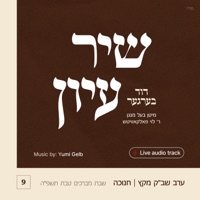 Shir Iyun Chanukah - שיר עיון חנוכה (feat. Levy Falkowitz) - EP - Duvid Berger