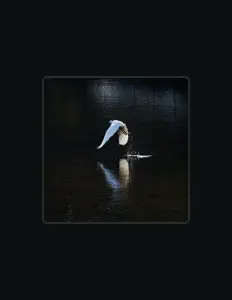 Simo Saidi을(를) 듣고, 뮤직 비디오를 보고, 약력을 읽고, 투어 일정 등을 확인하세요!