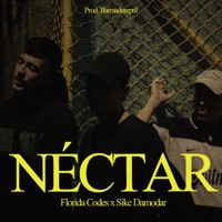 Néctar (feat. Sike Damodar) - Single - El Nido & Florida Codes