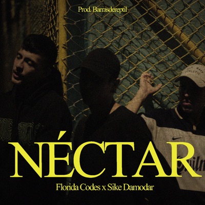 Néctar (feat. Sike Damodar) - Single