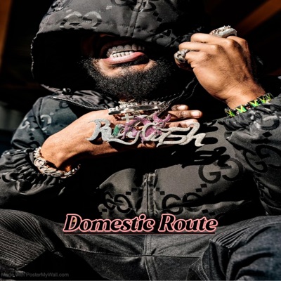 Domestic Route