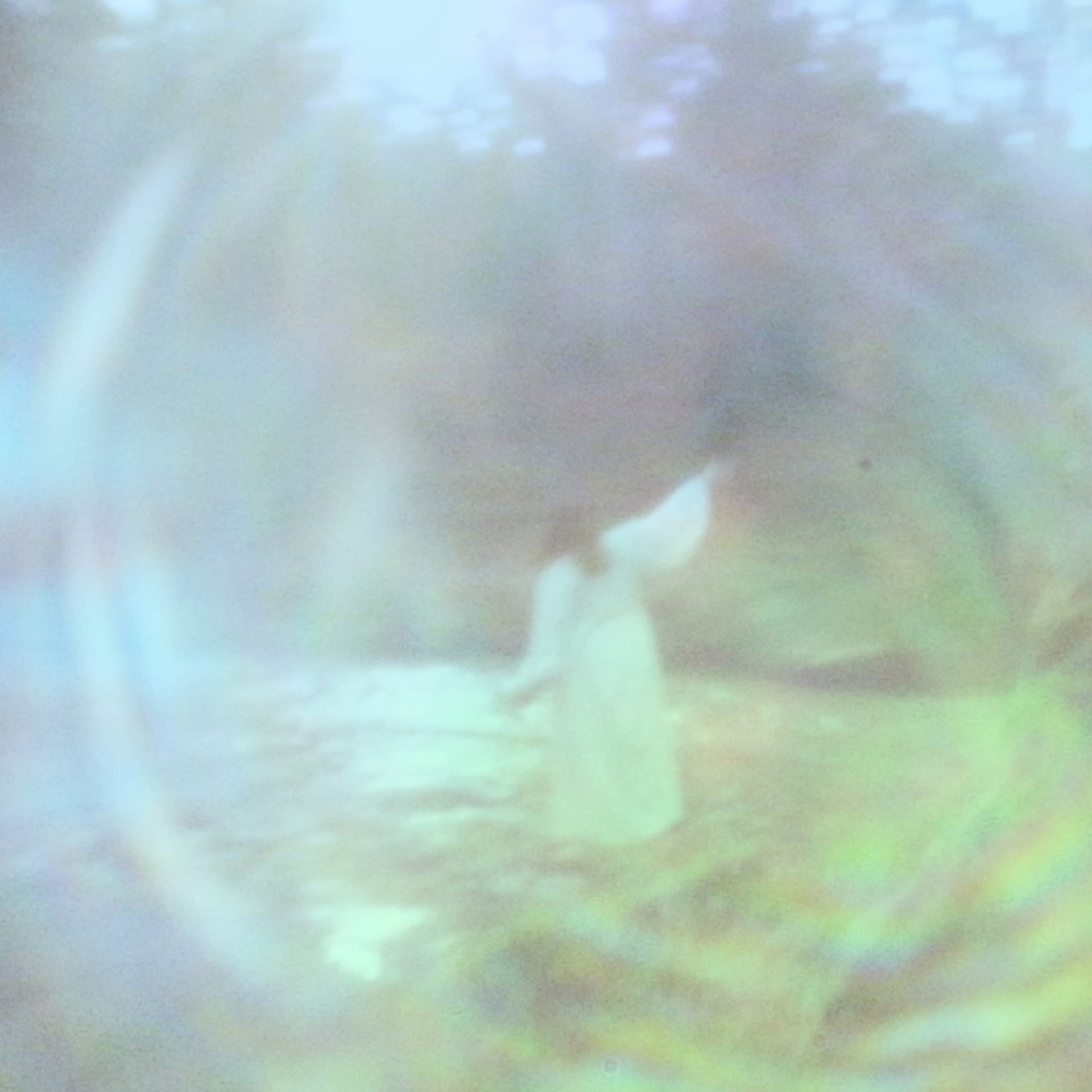 J'ai rêvé - Single