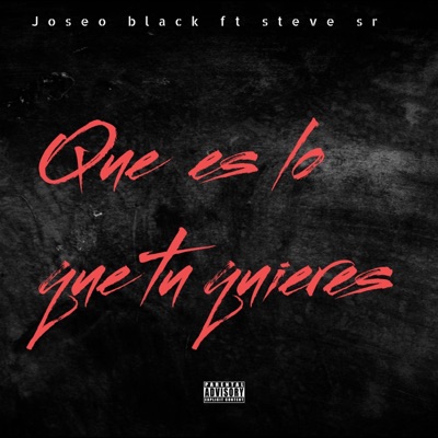 Que es lo que tu Quieres (feat. Jo$eo Black & Stever SR) - Single