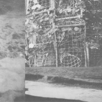 The Processes and Instruments of Normal People (2020 Remaster) - Cremation Lily