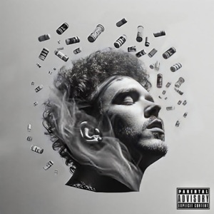 Wildin - Single