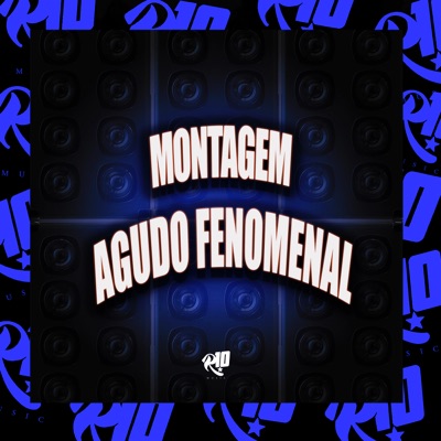 Montagem Agudo Fenomenal - Single