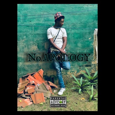 no apology - Single