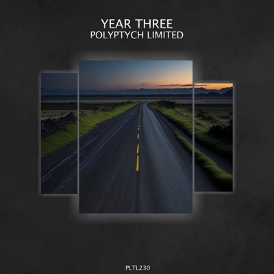 Polyptych Limited: Year Three