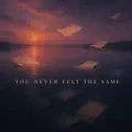 You Never Felt the Same