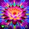 Harmonia Divina - Sinta Positivo lyrics