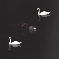 Я и Ты - Single - Jazzbe