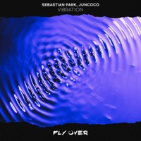 Vibration - Single - Sebastian Park & Juncoco