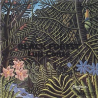 Black Forest - Luis Conte