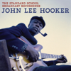 Should Have Been Gone - John Lee Hooker