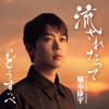 楠木康平