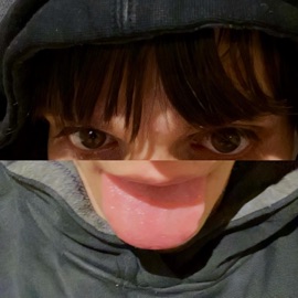 pets archive computer