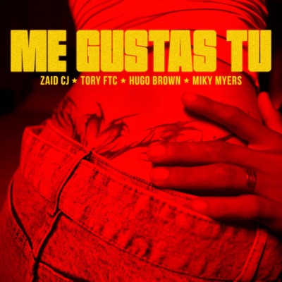 Me Gustas Tú (feat. Tory Ftc, Hugo Brown & Miky Myers) - Single