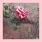 Lady Killer (feat. DJ SWIIFT K) - Killer kay perc lyrics