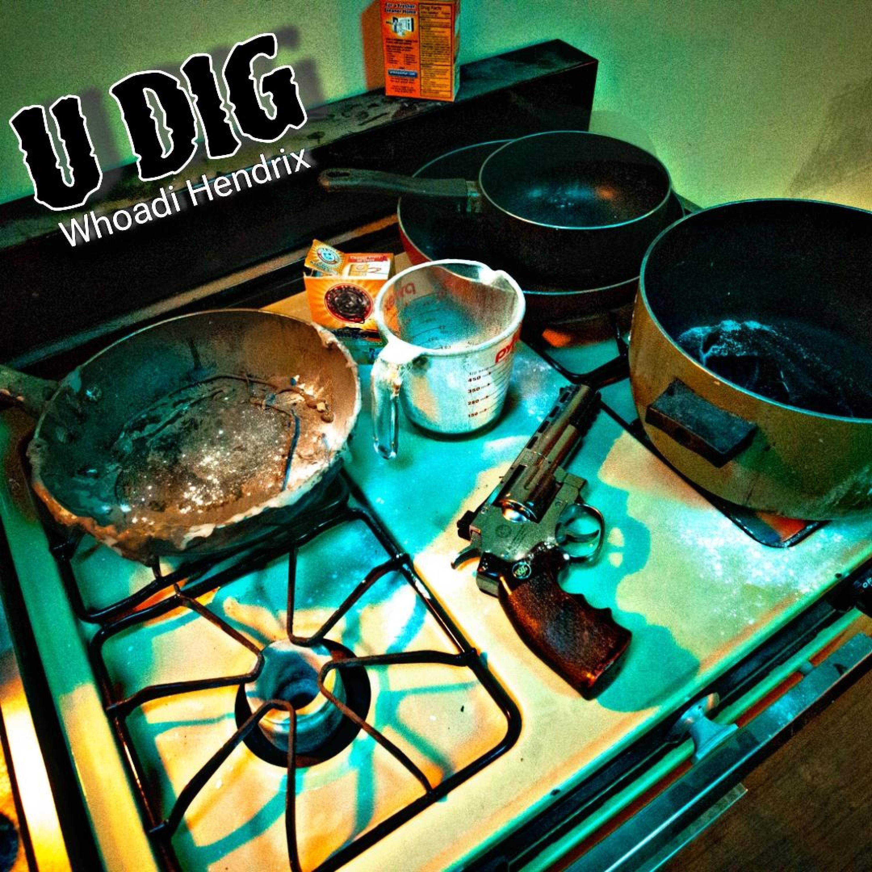 U Dig - Single
